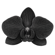 Black Orchid Bar Co. Logo Private Bartending Service Austin Texas